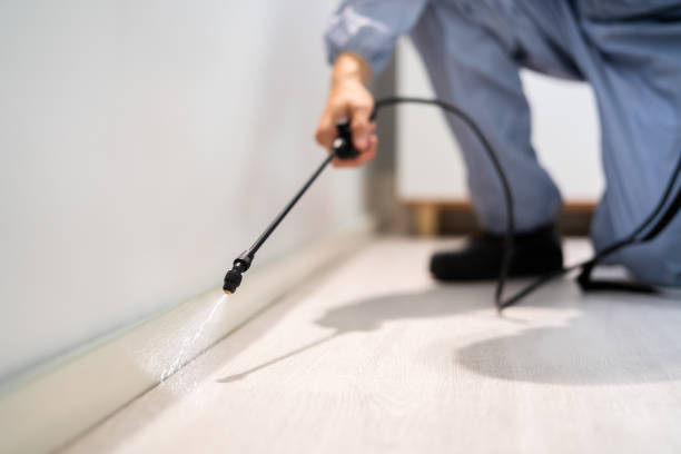 Certified termite inspector examining foundation in Gluckstadt